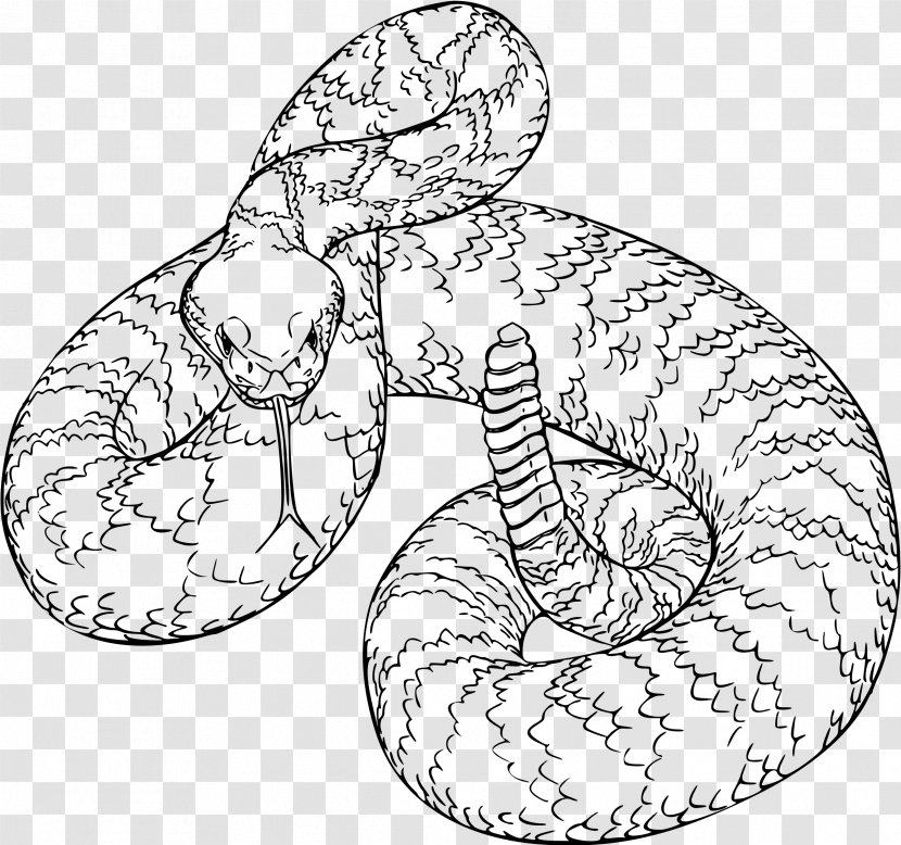 Western Diamondback Rattlesnake Clip Art - Heart - Snake Transparent PNG
