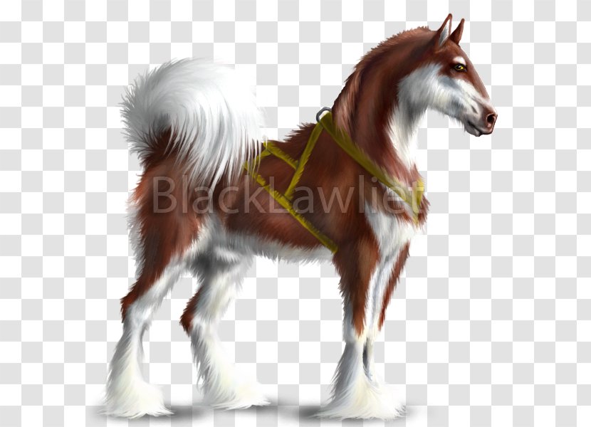 Howrse Thoroughbred American Paint Horse Alaskan Malamute Mustang - Like Mammal Transparent PNG