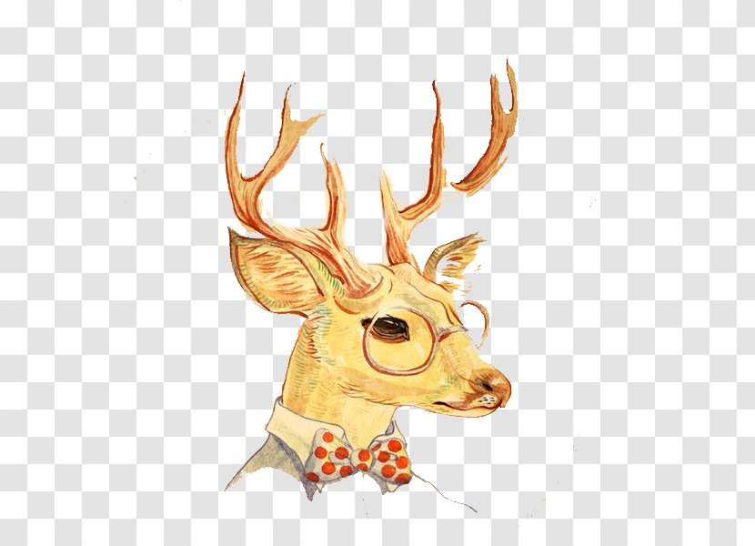 Deer Cartoon Download - Wildlife - Dr. Gentleman Transparent PNG