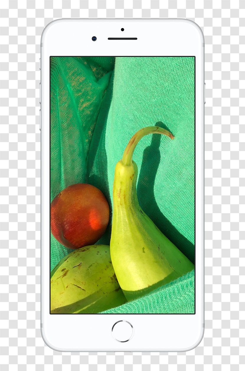 IPhone 8 Plus Apple Color Smartphone Gamut - Hd Brilliant Light Fig. Transparent PNG