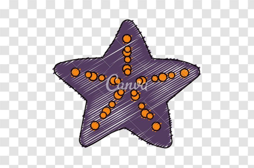 Symbol - Icon Design - Sea Star Transparent PNG