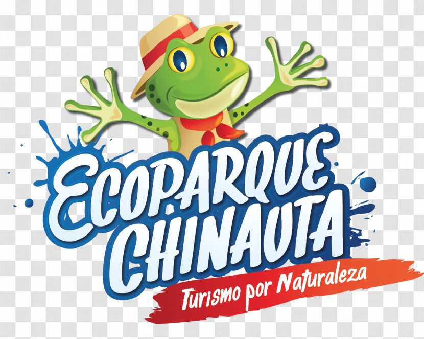 Ecoparque Chinauta Recreation Tree Frog Logo Tourism - Organism - Almuerzo Transparent PNG