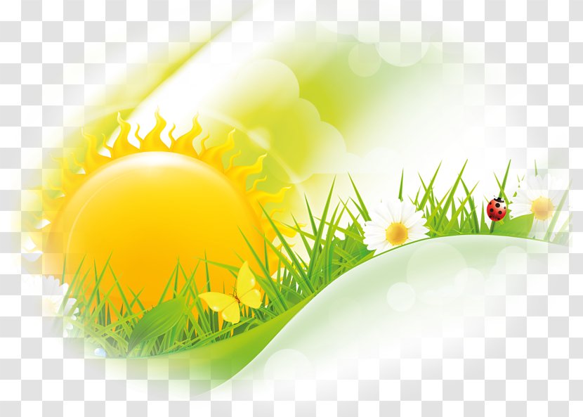 Friday Morning Wish Greeting Happiness - Easter Egg - Cartoon Sun Transparent PNG