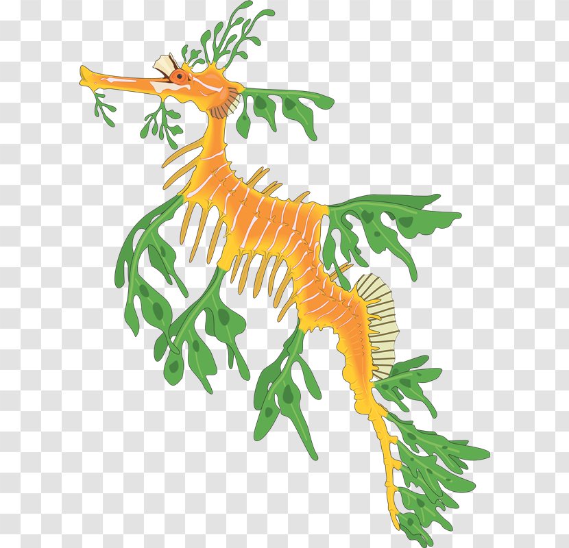 Leafy Seadragon Common Seahorse Clip Art - Plant Stem - IU Transparent PNG