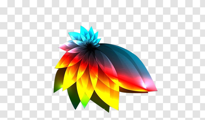 Light Color Darkness Euclidean Vector - Petal - Colorful Peacock Tail Transparent PNG