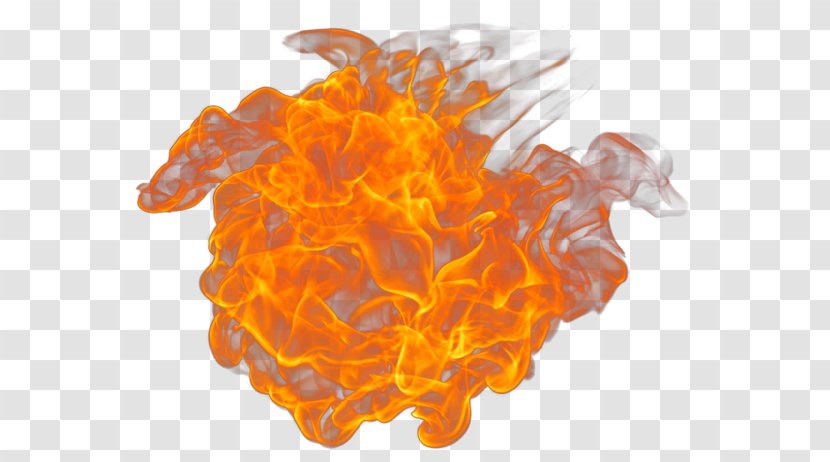 Fire Image Rendering Flame Transparent PNG