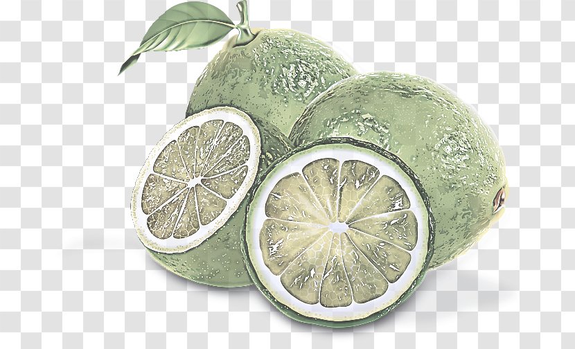 Citrus Lemon Fruit Lime Persian - Citric Acid - Food Transparent PNG