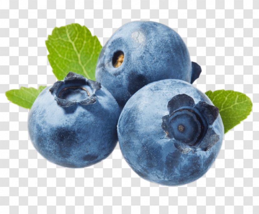 Blueberry Tea Muffin Juice Bilberry Transparent PNG