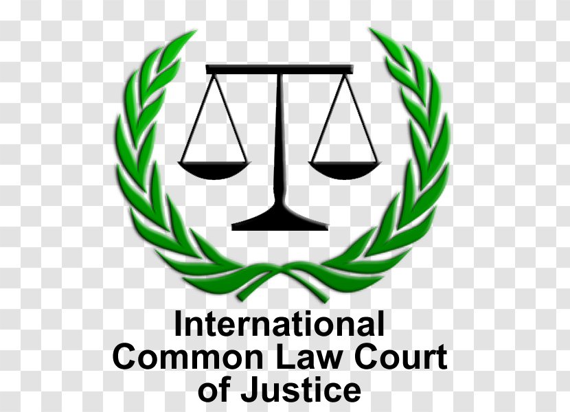 International Court Common Law Judge Crime - Plant Transparent PNG