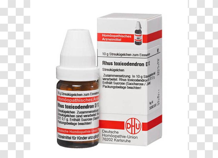 Globuli Deutsche Homöopathie-Union Homöopathisches Arzneimittel Mountain Arnica Homeopathy - Shopapotheke Transparent PNG