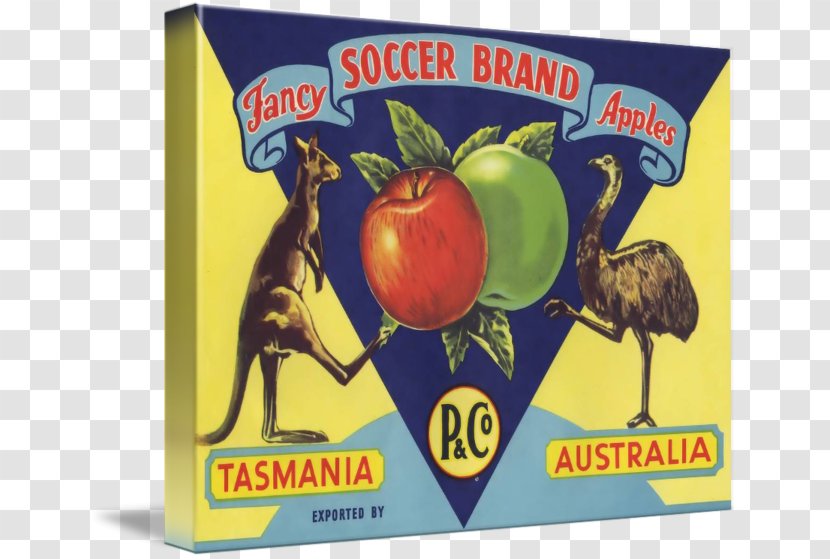 Mixed Media Work Of Art Australia National Football Team Fine - SOCCER Transparent PNG