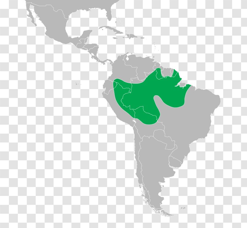 Latin America South Hispanic Map Geography - Distribution Transparent PNG