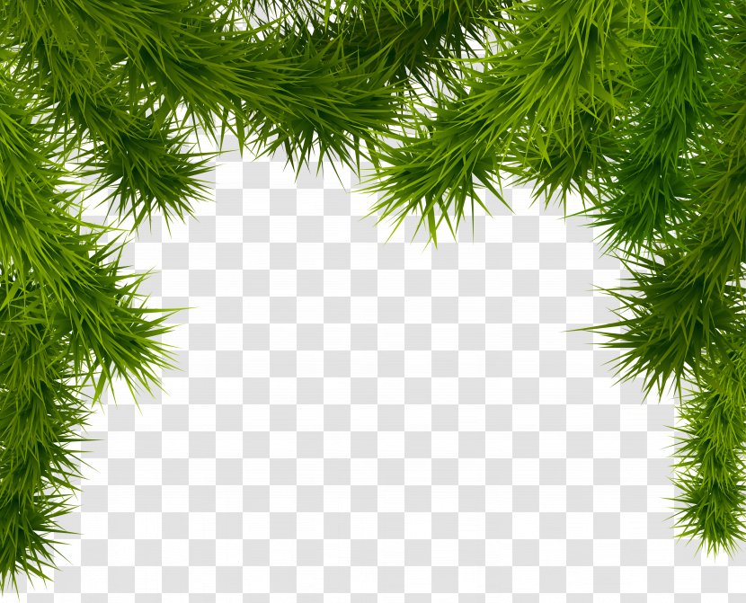 Christmas Tree Clip Art - Ornament - Pine Branches Clipart Image Transparent PNG