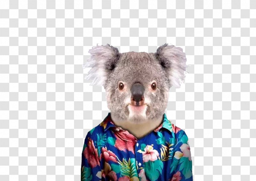 Koala T-shirt Zoo Portraits Spreadshirt - Heart - Mr. Transparent PNG