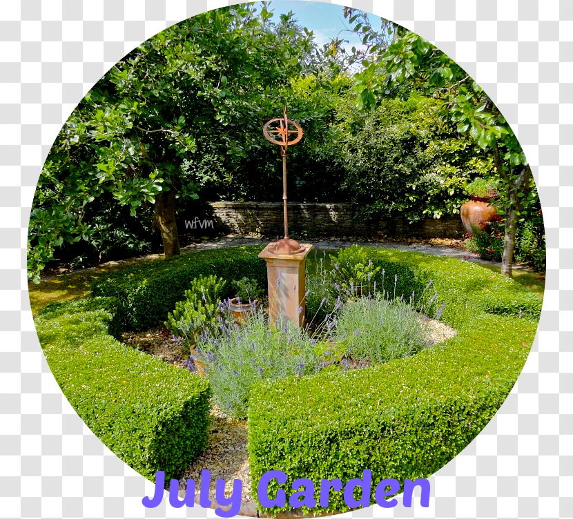 Backyard Hedge Landscaping Botanical Garden - Opium Poppy Transparent PNG