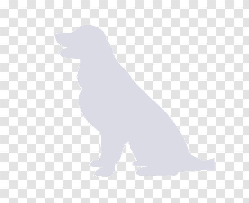 Dog Breed Puppy Retriever Sporting Group - Black Transparent PNG