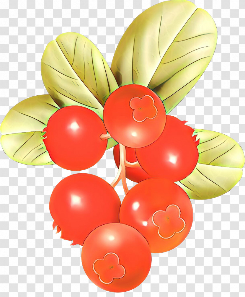 Balloon Plant Fruit Party Supply Currant Transparent PNG