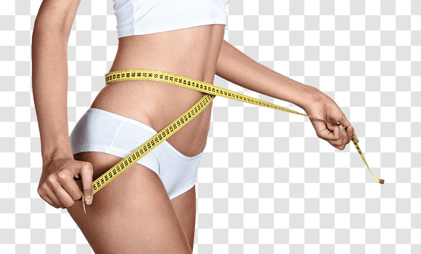 Human Body Waist Liposuction Adipose Tissue Female Shape - Silhouette - Diet Meter Transparent PNG