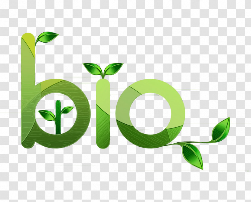 Logo Leaf Plant Stem Font Line Transparent PNG