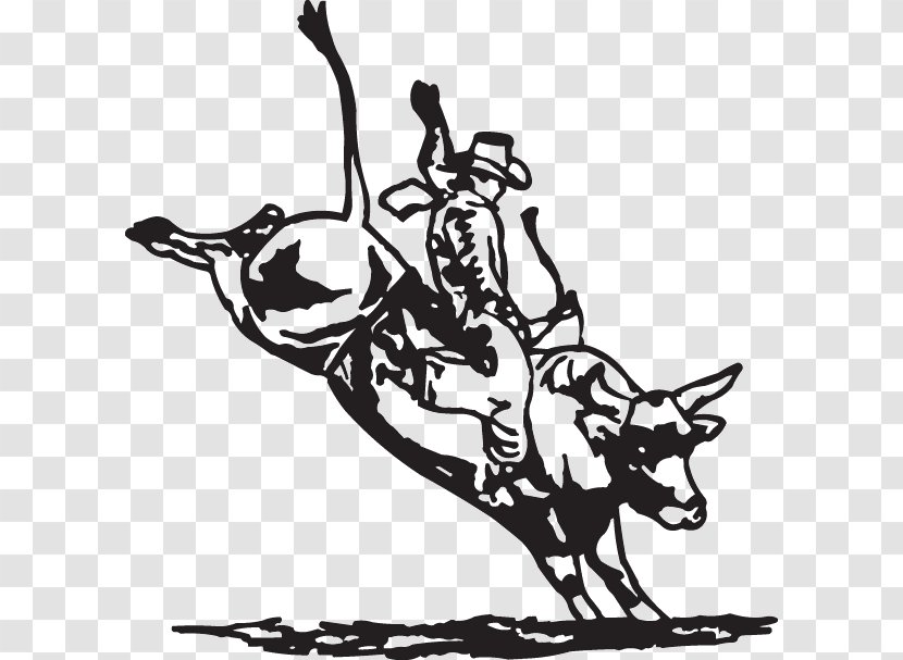 Bull Riding Decal Professional Riders Sticker Rodeo - Drawing Transparent PNG