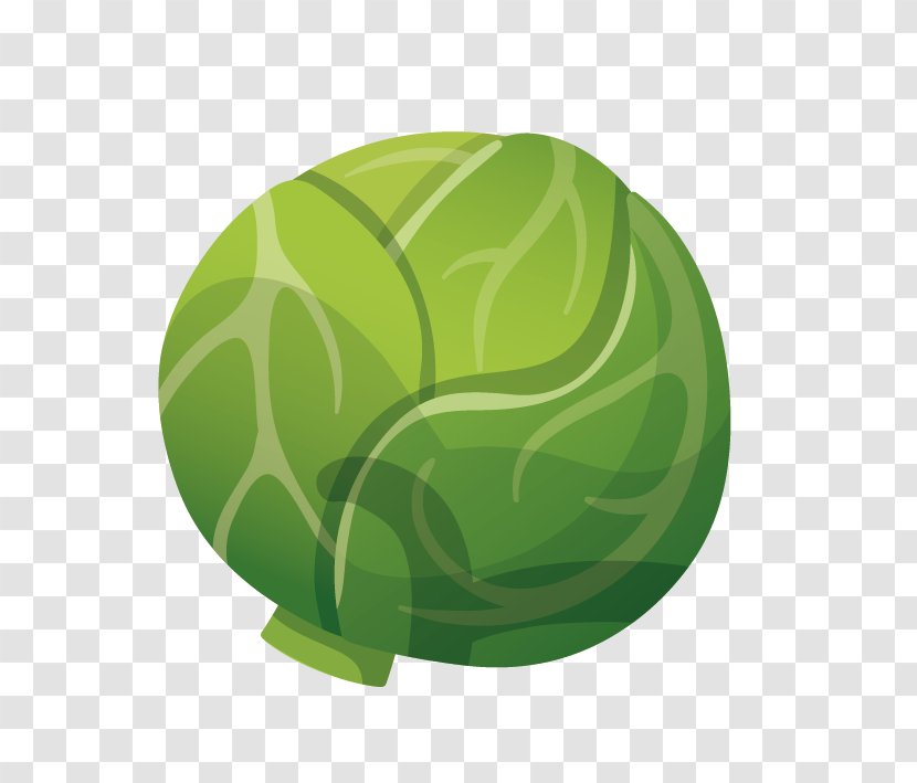 Chinese Cabbage Vegetable - Cooking Transparent PNG