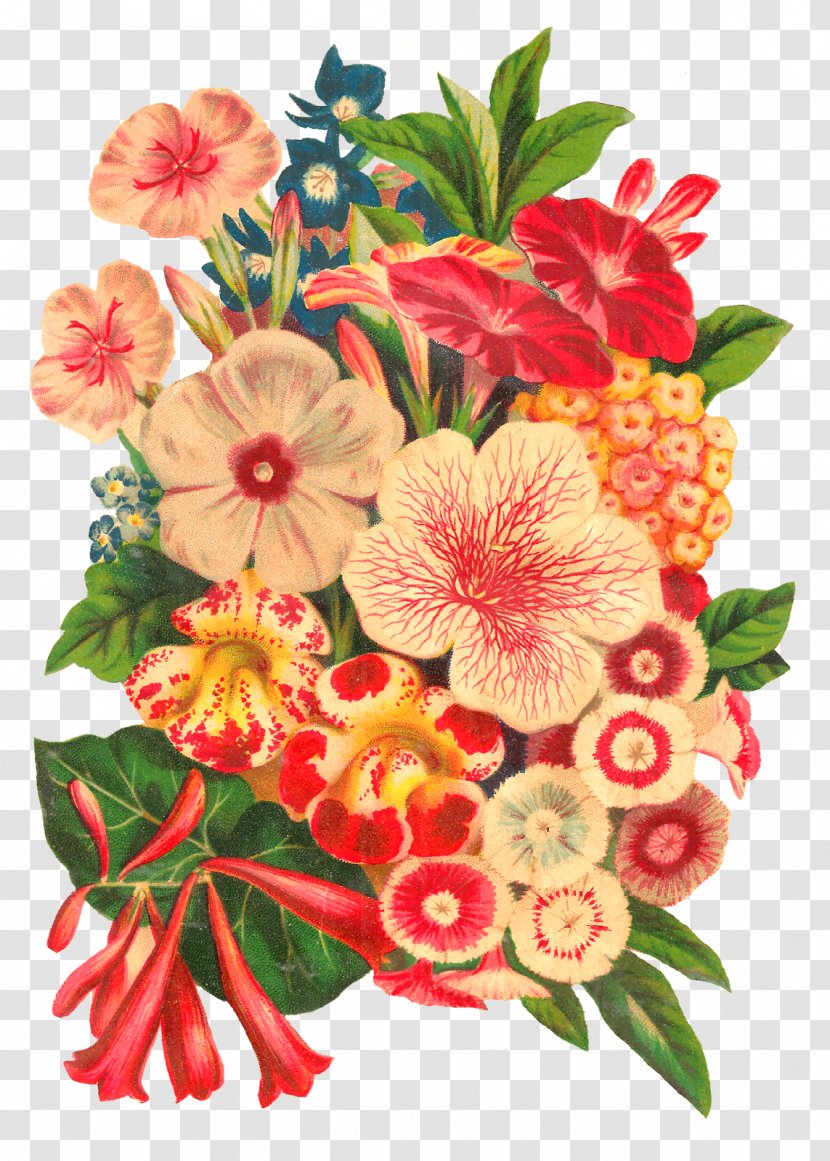 Flower Bouquet Floral Design Cut Flowers Botanical Illustration Transparent PNG