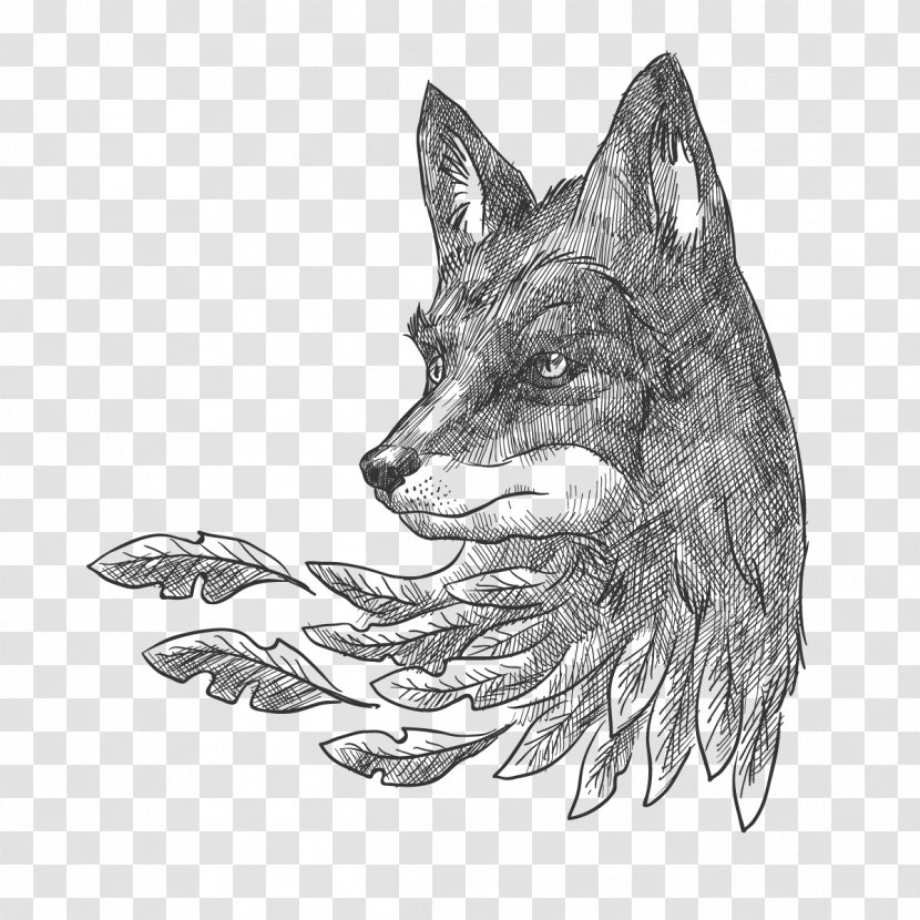 Gray Wolf Drawing Painting - Black And White - Vector Painted Transparent PNG