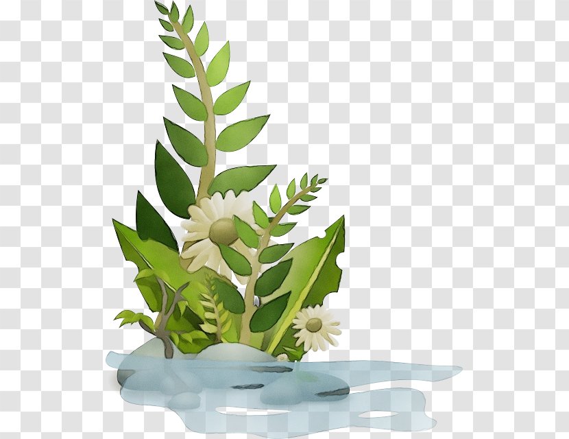 Earth Day Natural Environment Life Image - Vascular Plant - Denis Hayes Transparent PNG