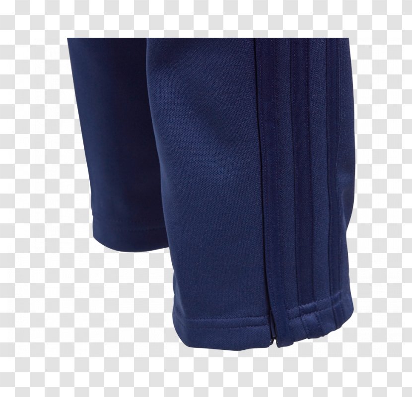 Cobalt Blue Waist Shorts - Sleeve - Training Pants Transparent PNG