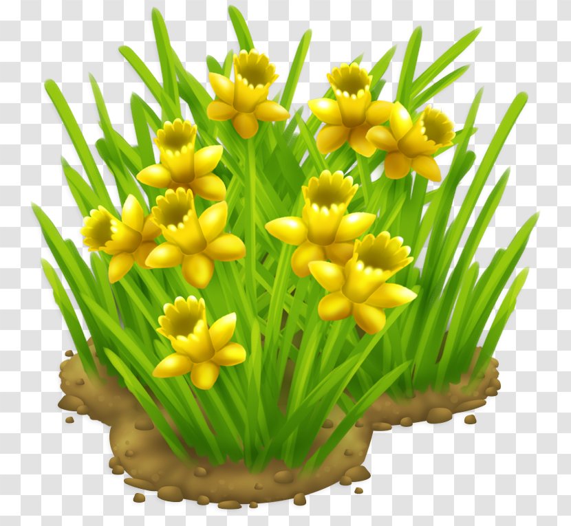Plant Flower Grass Yellow Flowering - Chives - Narcissus Transparent PNG