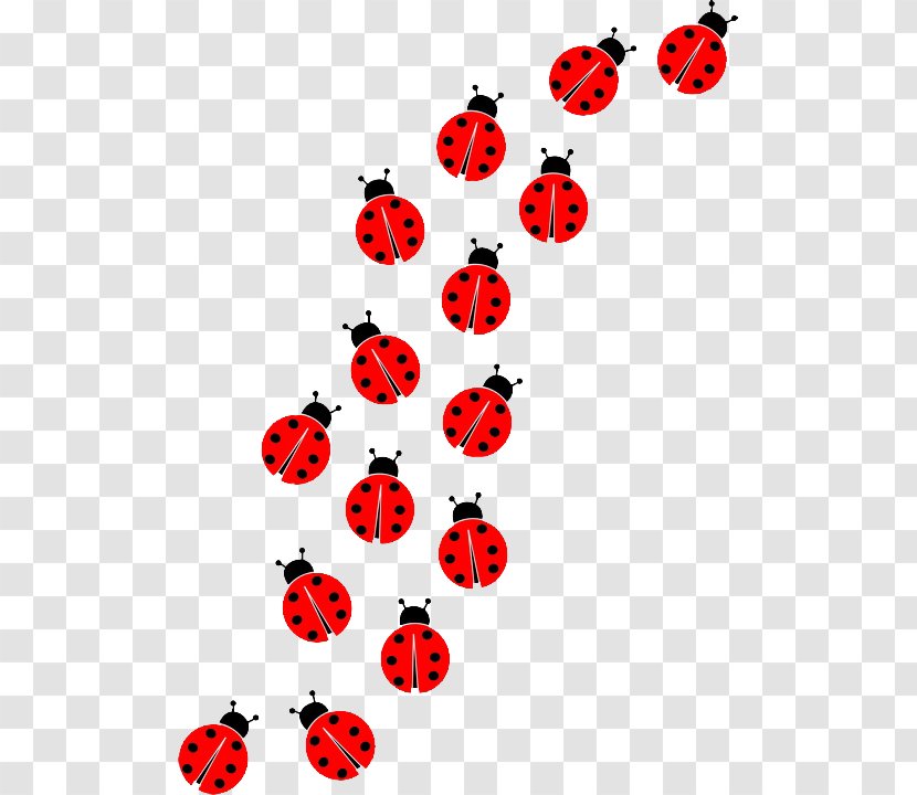 Beetle Ladybird Clip Art - Drawing - Ladybug Transparent PNG