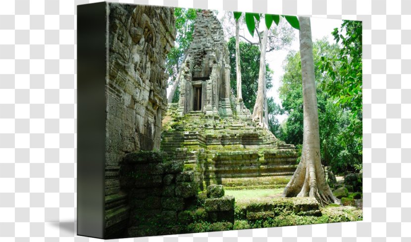 Maya Civilization Forest Historic Site Tree History - Angkor Wat Transparent PNG