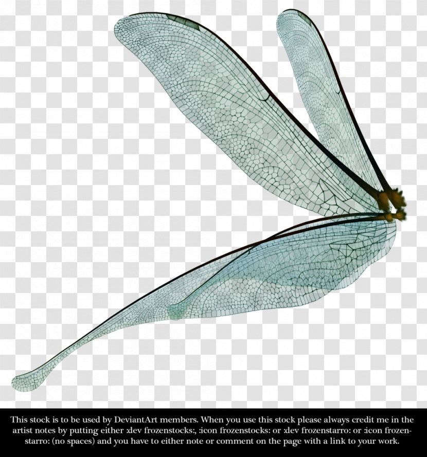 Dragonfly Insect Wing Clip Art - Dragon Fly Transparent PNG