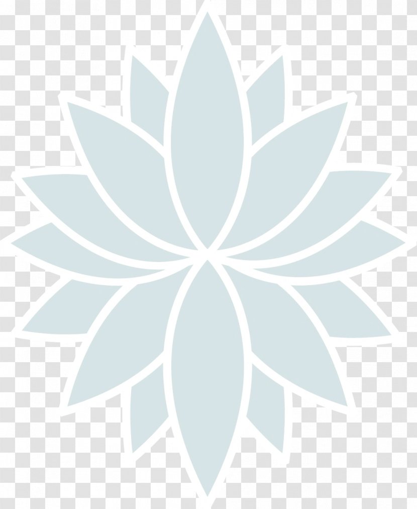 Flower White - Symmetry Transparent PNG