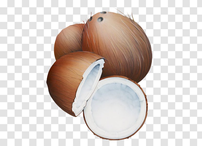 Coconut Milk Cartoon Transparent PNG