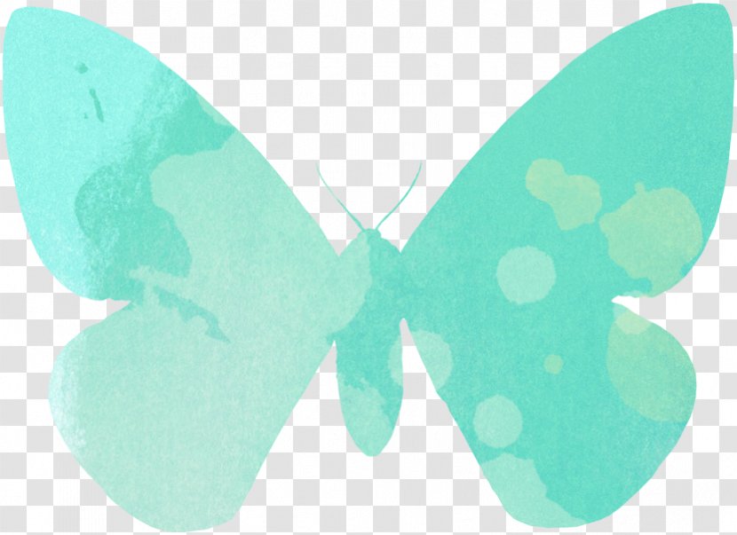Butterfly Green Turquoise Wing Font Transparent PNG