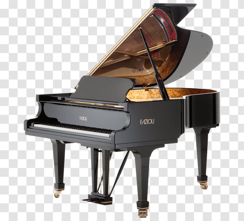 Fazioli Grand Piano Blüthner C. Bechstein - Frame Transparent PNG