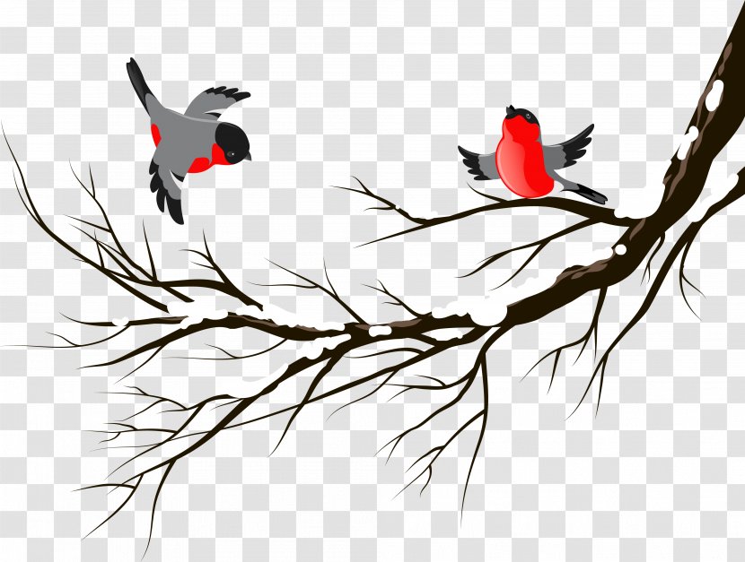 Bird European Robin Winter Clip Art - Birds Transparent PNG