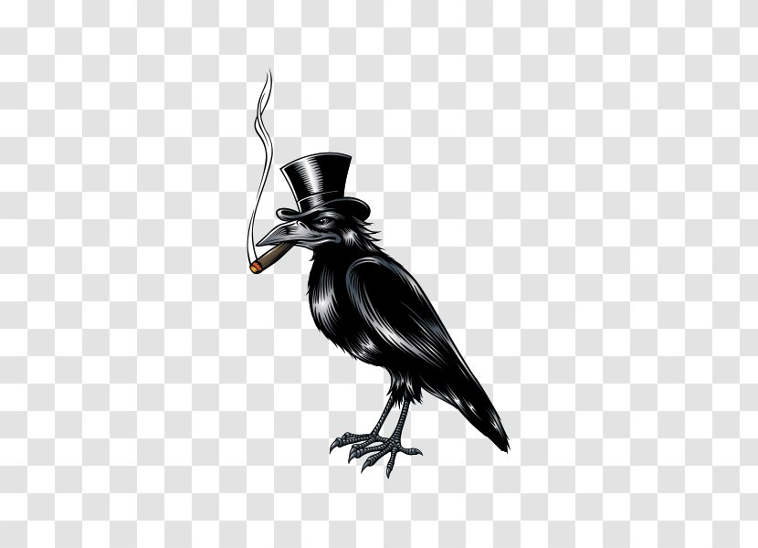 Bird Crow - Animal Transparent PNG