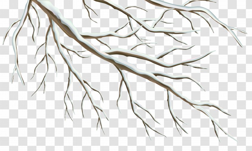 Branch Winter Clip Art - Pattern - Clipart Image Transparent PNG