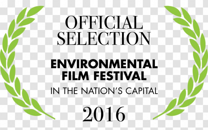Environmental Film Festival Grasses - Laurels Transparent PNG