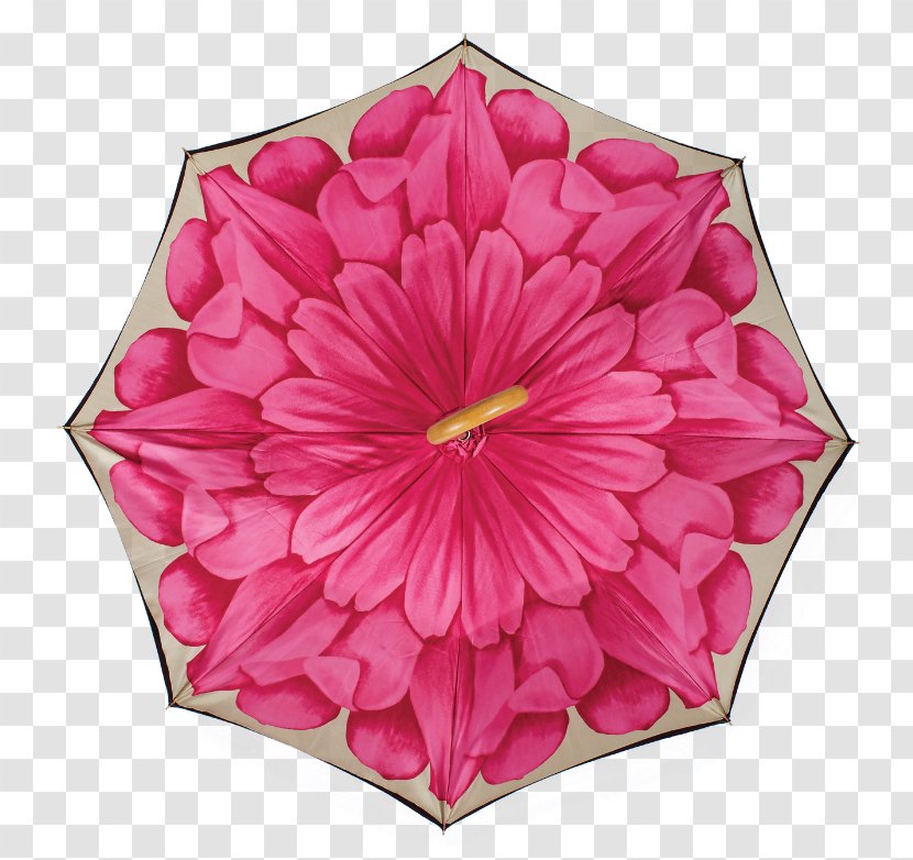 Floral Design Cut Flowers Dahlia Pink M - Plant Transparent PNG