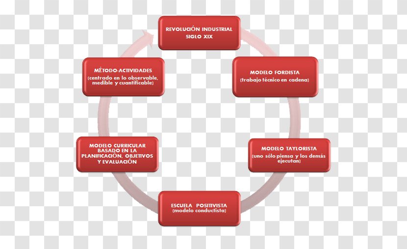 Job Evaluation Organization Educational Assessment - Qq Space Transparent PNG