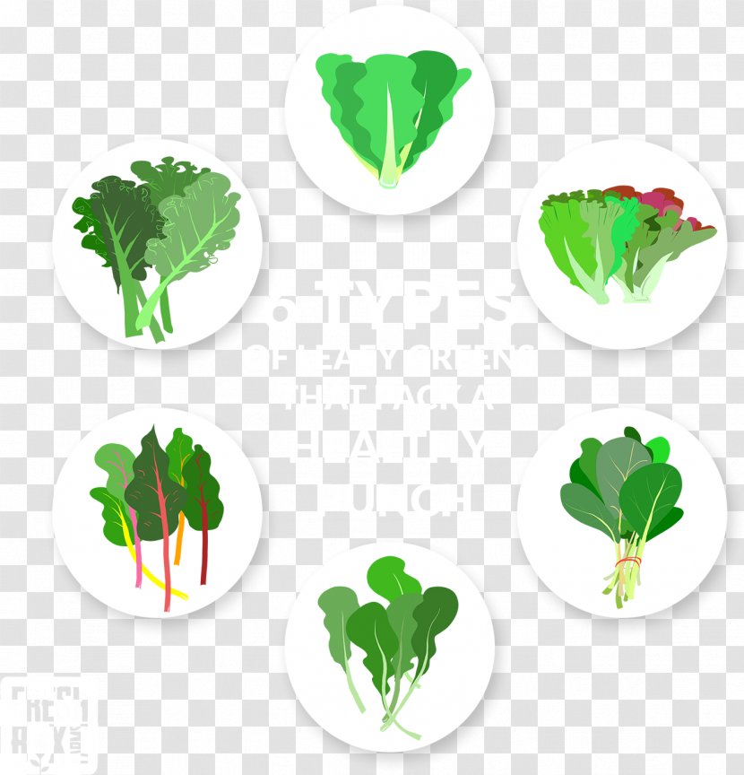 Leaf Vegetable Lettuce Collard Greens - Spinach Transparent PNG
