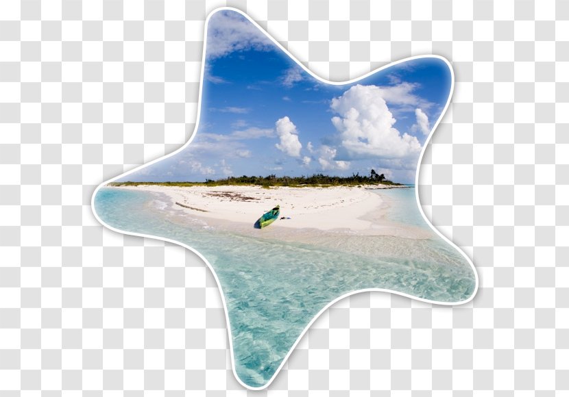 Eleuthera Long Island Nassau Harbour Island, Bahamas Stocking - Paradise Beach Transparent PNG