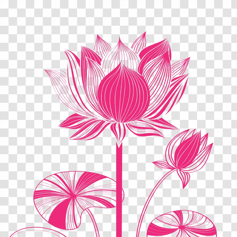 Nelumbo Nucifera Euclidean Vector Drawing - Floral Design - Lotus Artwork Transparent PNG