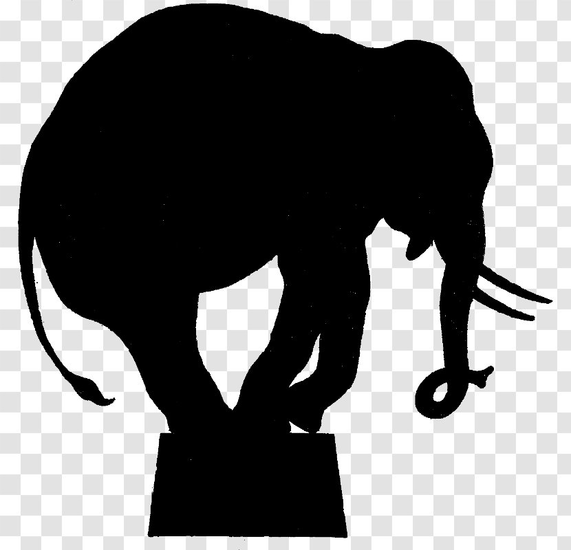 Circus Elephant Silhouette Clip Art - African Transparent PNG