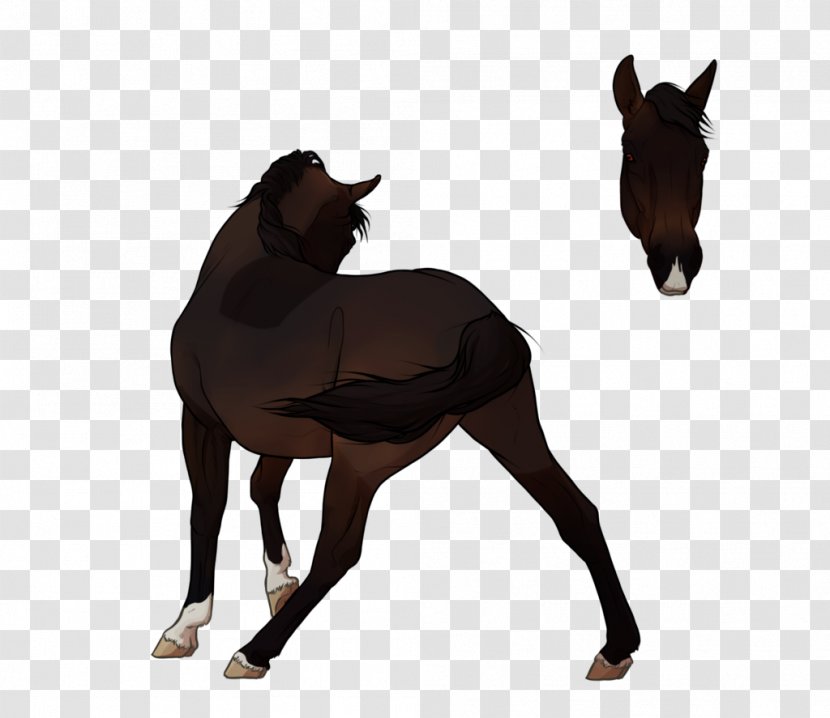 Mustang Foal Stallion Colt Mare - Tail - Refusing To Cheat And Discipline Transparent PNG