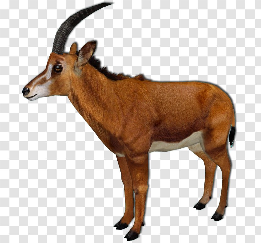 Impala Zoo Tycoon 2: Endangered Species Antelope Waterbuck African Adventure - Horn Transparent PNG