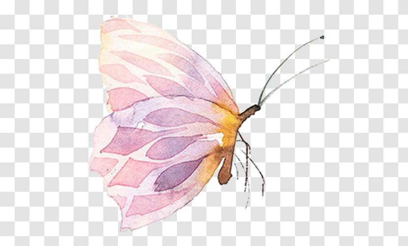 Butterfly Watercolor Painting - Pollinator - Pink Transparent PNG